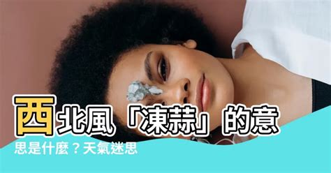 西北風意思